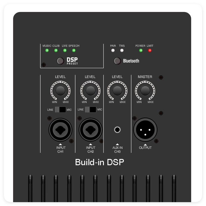 DSP2509 Hoogwaardige multifunctionele klasse AB-versterker met DSP